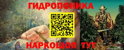 прущие крисы Мариинск