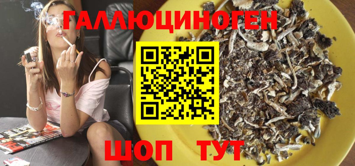 Галлюциногенные грибы Psilocybe Зерноград