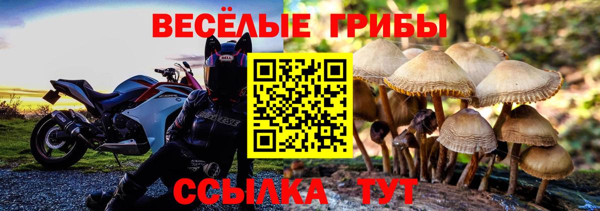 Галлюциногенные грибы MAGIC MUSHROOMS  Вход с VPN  Зерноград  Псилоцибиновые грибы прущие грибы 